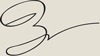 BrianSignature 2