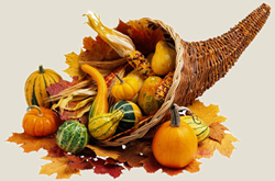 cornucopia_250